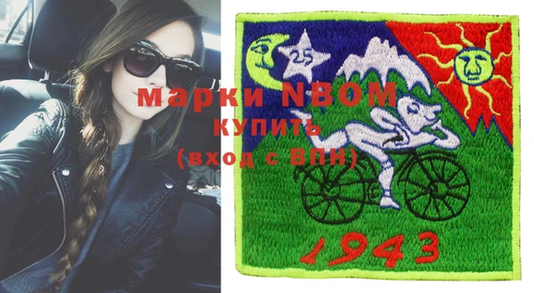 прущие грибы Тихвин