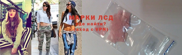 шишки Баксан