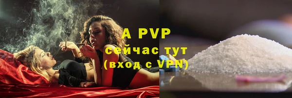 шишки Баксан