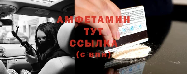 прущие грибы Тихвин