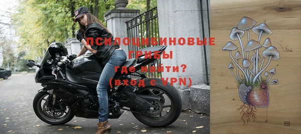 шишки Баксан