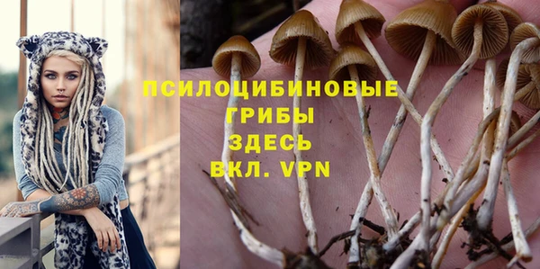 ешки Балахна