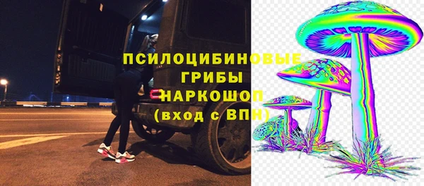 ешки Балахна