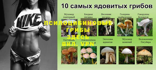 ешки Балахна