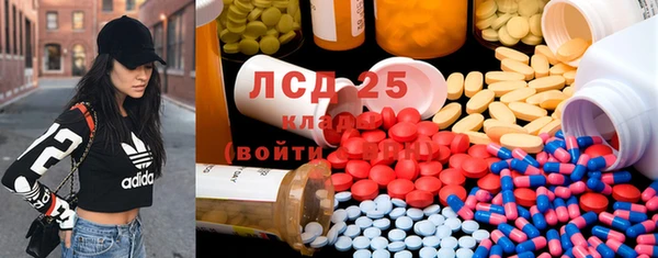 прущие грибы Тихвин