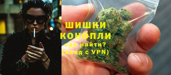 шишки Баксан