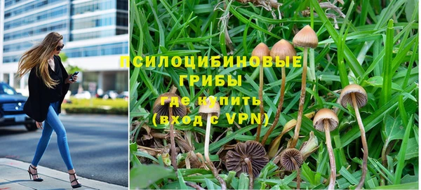 ешки Балахна