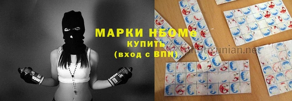 шишки Баксан