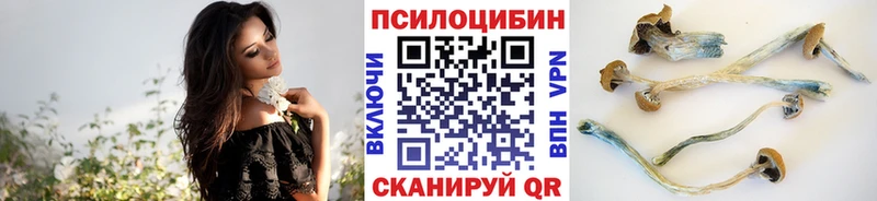 Галлюциногенные грибы Psilocybine cubensis  Североуральск 